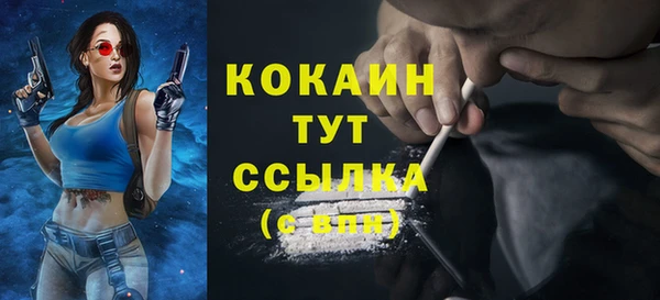 молекула духа Киреевск