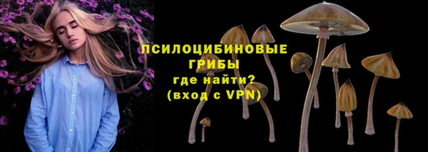 молекула духа Киреевск