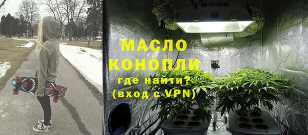 молекула духа Киреевск