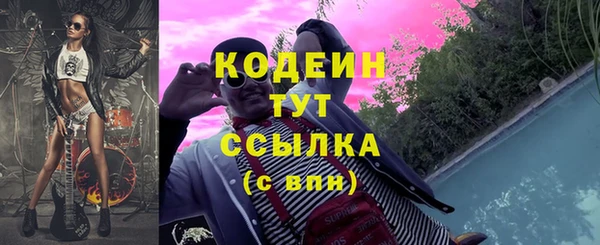 молекула духа Киреевск