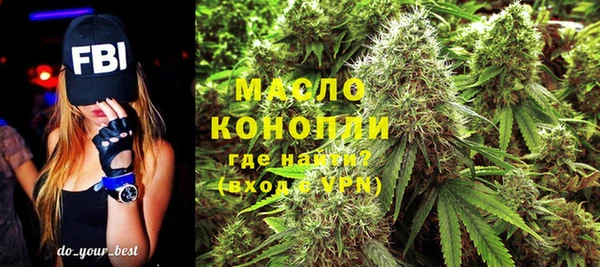 молекула духа Киреевск