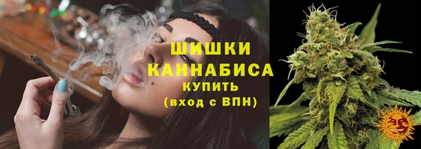 трава Кинешма